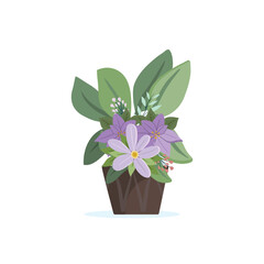 Isolated plant with purple flowers in a flowerpot