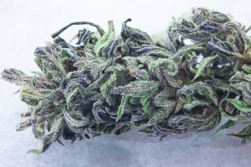 close-up medical cannabis thc bud weed