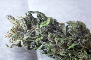 Cannabis bud Weed Strains
