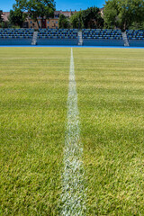 Grass on the soccer field - 552644384