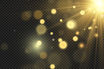 	
Brilliant gold dust vector shine. Glittering shiny ornaments for background. Vector illustration.	