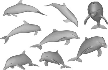 dolphin collection isolated on white