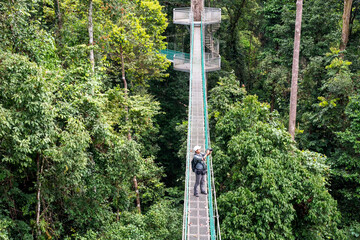 High angle view of man taking photo at suspension bridge in tree top canopy walkway in Danum rain forest Lahad datu