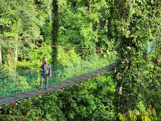 Man at suspension bridge in tree top canopy walkway in Danum rain forest Lahad datu Sabah Borneo Malaysia