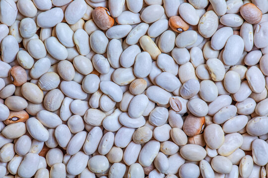 Background From White Haricot Bean Beans. Texture From Raw Bean Seeds. Healthy Food Concept.