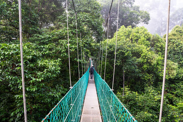Man walking at suspension bridge in tree top canopy walkway in Danum rain forest Lahad datu Sabah Borneo Malaysia