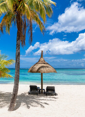 Coco palm in tropical beach and umbrellas in white sand in Mauritius island.	