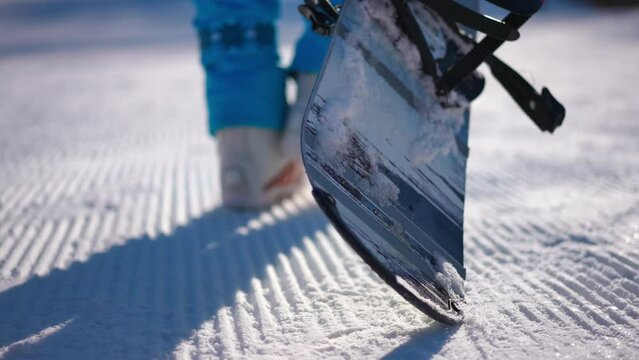 Live camera follows snowboard and female feet walking in slow motion on snow in sunshine. Back view tracking shot of unrecognizable confident fit lady strolling on ski resort outdoors. Sport and joy