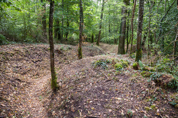 Ehemaliger Schützengraben im Wald nahe Verdun, Frankreich