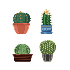 Collection of detailed cacti isolated on white background.