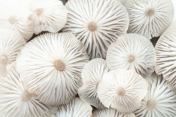 Inverted caps of wild mushrooms of white color. Abstract macro background. nature-inspired graphic design