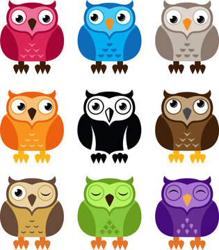 vector black and white and colorful owl icons