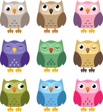 vector colorful owl icons