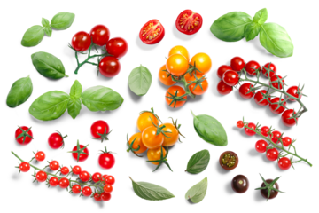 Basil and cherry tomatoes top view isolated png