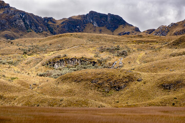 Fototapeta na wymiar Colorful landscape with straw grass and a water stream in Cajas National Park in the Andean highlands of Ecuador, tropical Andes.