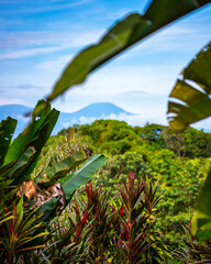 tenorio volcano emerging from behind dense Costa Rican vegetation; panorama of tenorio volcano as seen from dense tropical forest
