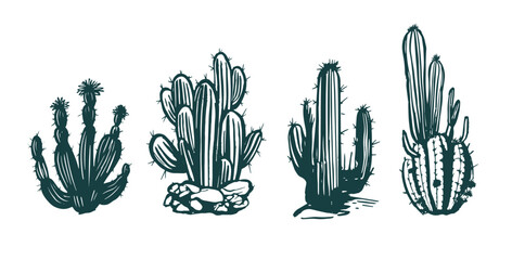 Cactus set hand drawn illustrations, vector	
