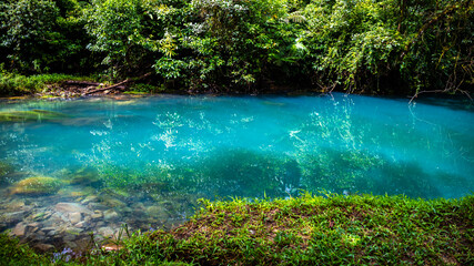 fairytale landscape of volcano tenorio national park by rio celeste river; sky blue river surrounded by dense rainforest in costa rica