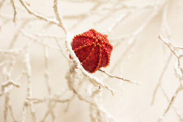 A red Christmas ball on white branches. Winter decoration concept. Christmas glitter ball