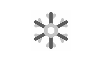 Obraz premium snowflake icon vector illustration Black and white and decorative elements. Christmas holiday 