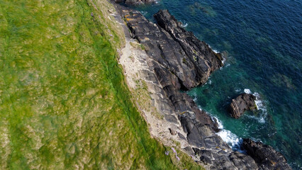 Fototapeta na wymiar Dense thickets of grass on the shore. Grass-covered rocks on the Atlantic Ocean coast. Nature of Ireland, top view. Aerial photo.