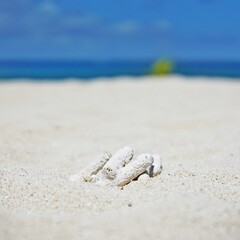 白い砂浜と青空と　Shirahama (sandy beach), corals and blue sky
