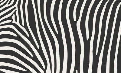 Fototapeta na wymiar Hand drawn zebra print pattern background