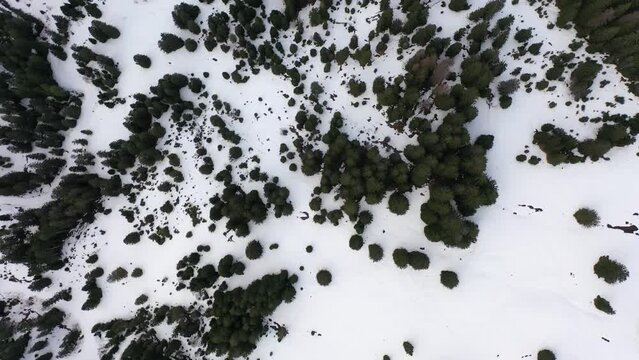 Amazing footage of a beautiful winter wonderland in the alps of Switzerland. Wonderful flight with a drone over a snow-covered landscape in the canton of Schwyz around a mountain called Grosser Mythen