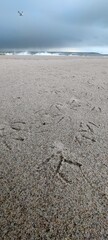 Möwenspuren am jütländischen Nordseestrand
