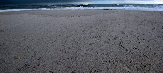 Möwenspuren im Nordseestrand