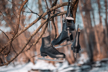 Schlittschuhe hängen vom Baum