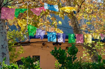 Festive colorful party flags hung from trees outside house