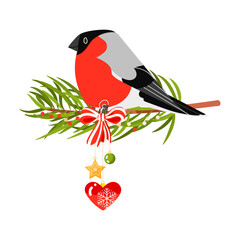 Merry Christmas bullfinch bird with red bow, fir tree branch and toys isolated on white background. Vector holiday illustration. December 25 greeting card and Christmas bird