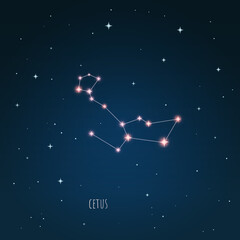 Constellation Cetus scheme in starry sky. Open space. Vector illustration Cetus, constellation through a telescope © iryna
