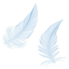Blue feathers, detailed illustration over a transparent background, PNG image- 552664792