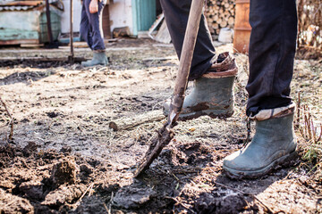 The foot of a hard-working farmer in dirty boots in the garden digs up the soil for planting seeds...