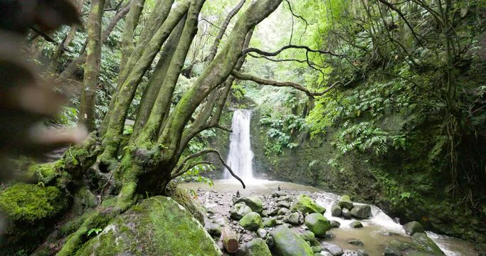 Salto do Prego waterfall lost in the rainforest, Sao Miguel Island, Azores, Portugal
