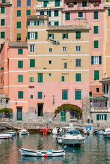 Fototapeta na wymiar Colored houses in the harbor of Camogli, small town in Liguria, northern Italy