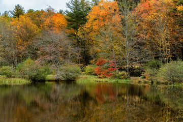 Fototapeta premium Autumn drive along the Blue Ridge Parkway in North Carolina