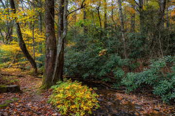 Obraz premium Autumn drive along the Blue Ridge Parkway in North Carolina