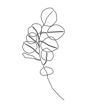 recommend clip art: Flower one line drawing art. Continuous line drawing leaf . Concept hand drawing sketch line.