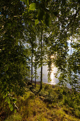 Fototapeta premium Scenic swedish lake view with forest and sun rays.
