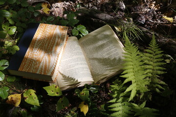 Books in the Woods - Pressing leaves and flowers