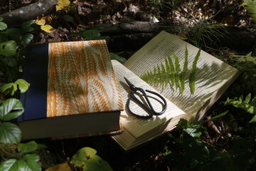 Books in the Woods - Pressing leaves and flowers