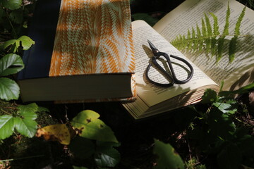 Books in the Woods - Pressing leaves and flowers