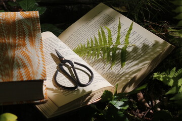 Books in the Woods - Pressing leaves and flowers