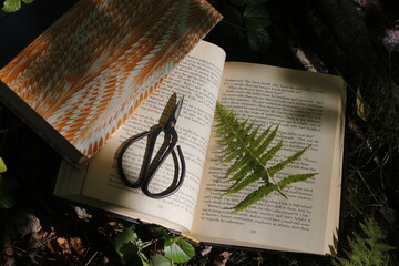 Books in the Woods - Pressing leaves and flowers