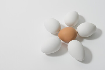 Chicken eggs, five white and one brown in the shape of a flower. Easter Eggs
