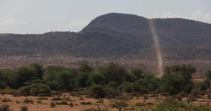 A sandstorm advances in the savannah in Kenya