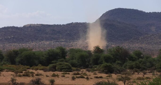 A sandstorm advances in the savannah in Kenya
